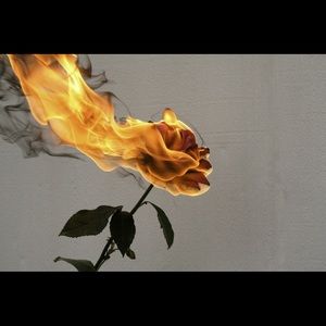 Meet your Posher, Cody